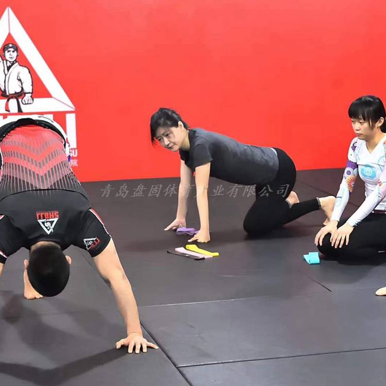 Customized size Judo competition dedicated ground jupering juveniles wrestling and felvant tract IJF standard judo pad