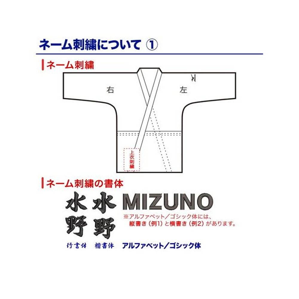 Japan Direct Mail Mizuno Alliance/IJF New Standard Standard Model Judo Championship Top