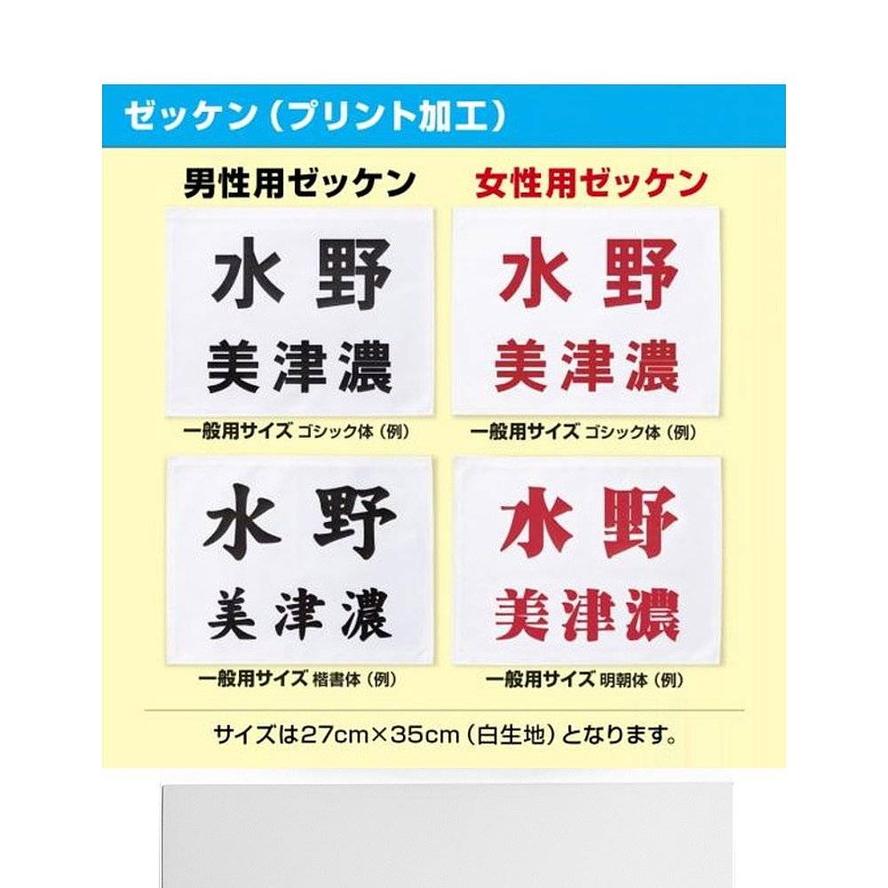Japan Direct Mail Mizuno Alliance/IJF New Standard Standard Model Judo Championship Top