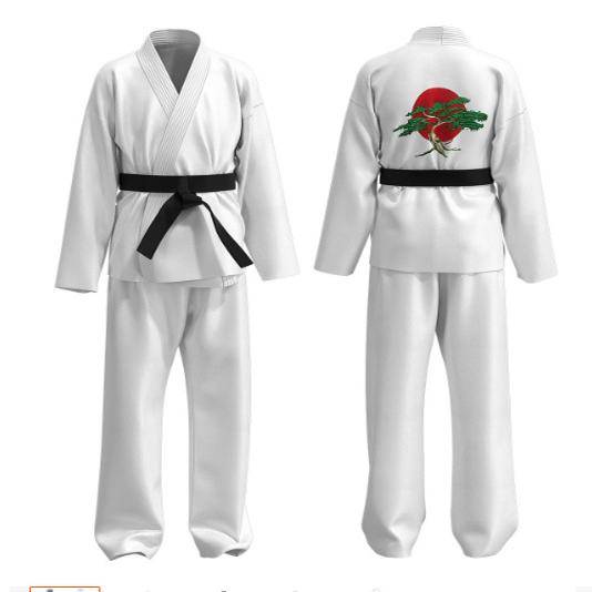 longway kid taekwondo, cos, cobra karate training, taekwondo show