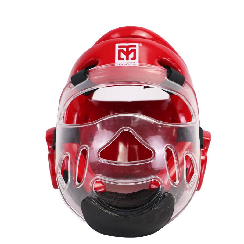L HELMET AND B MASK