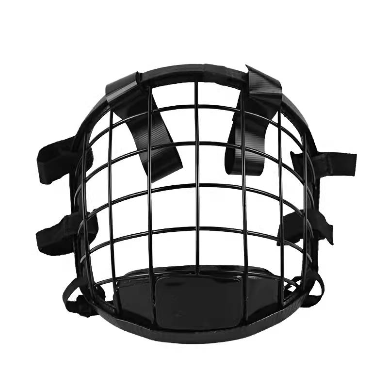 Iron Mask