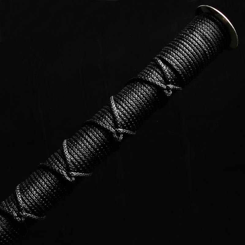 The Dragon Springs sword has been shielded from all-faced Qin swords and children's toys