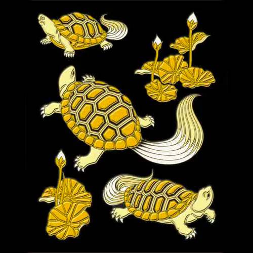 A turtle