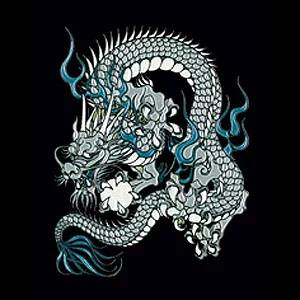 Silver Dragon