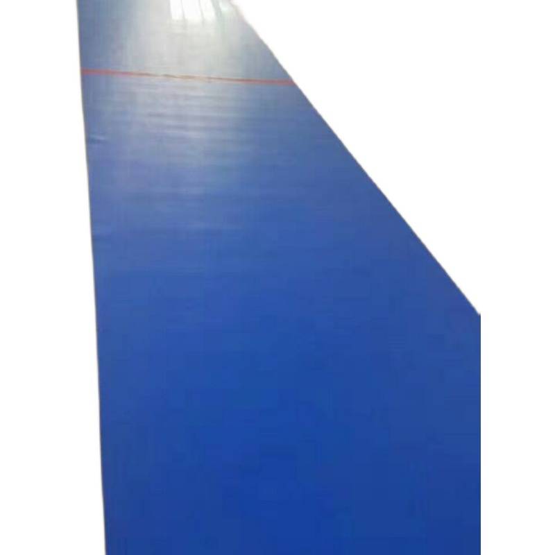 Fencing Equipment Fencing Rubber kept 16 -meter portable 16 -meter standard Kendo Training Kendo Size can be customized