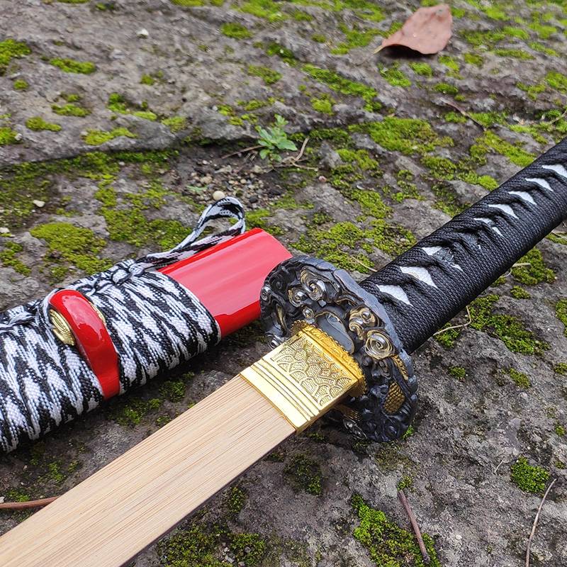 Trained to practice with a wooden knife and a wooden thong to perform with swordsmen without a blade