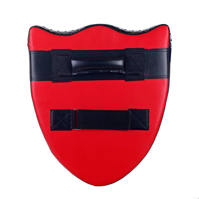 Tekwondo Knights' Sword Shields Group of Children Trained Soldiers' Fight Shields