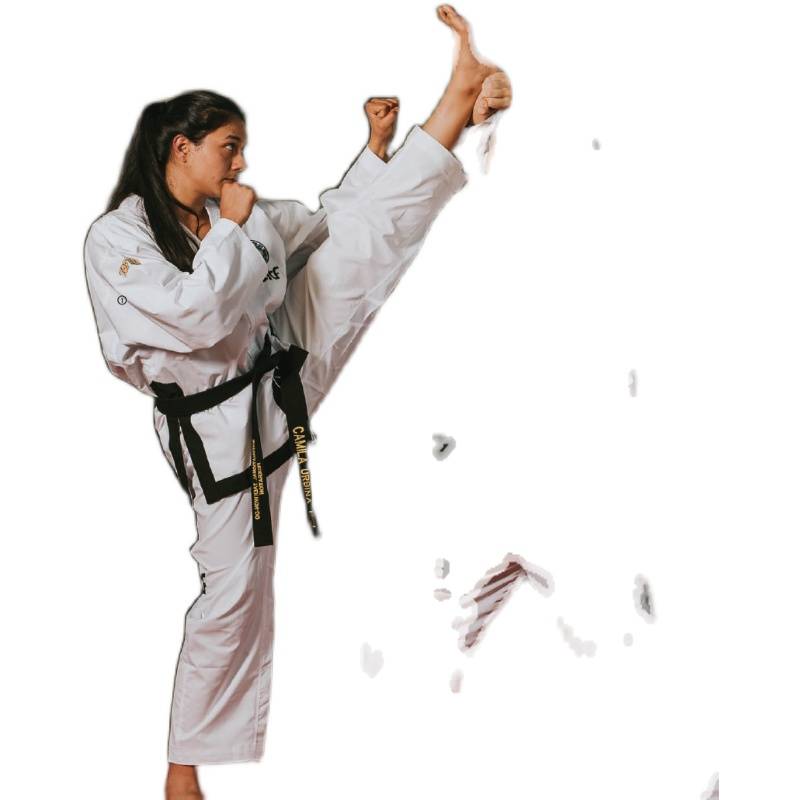 Topten -Gold Standard -ITF International Taekwondo Alliance Certification Deputy Teachers Service