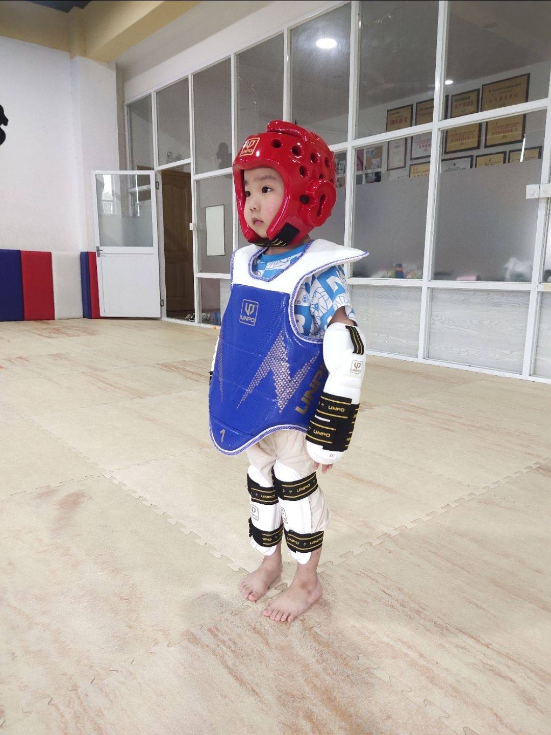 Excellent Adult Children Taekwondo Professional Equipment Thicked Real Combat Competition Use A full set of protective gear five -piece eight -piece set