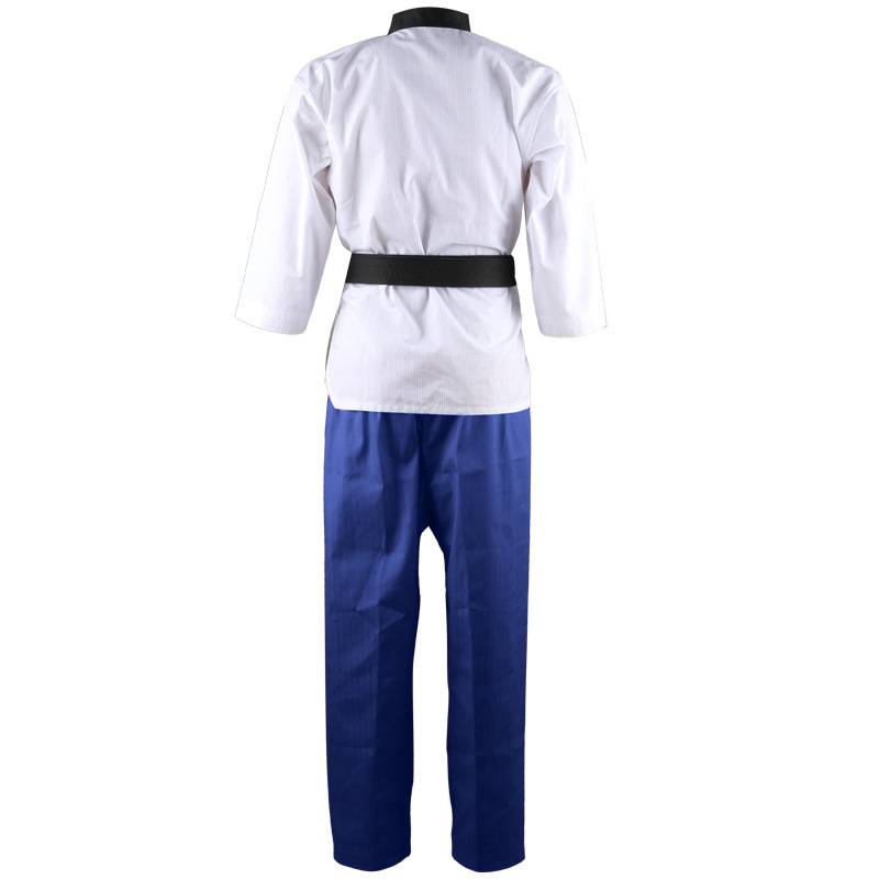 Taekwondo styled a humanist taekwondo boy and boy