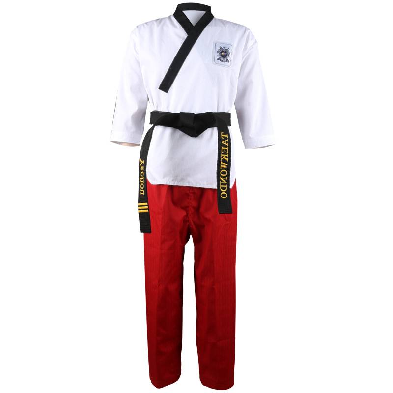 Taekwondo styled a humanist taekwondo boy and boy