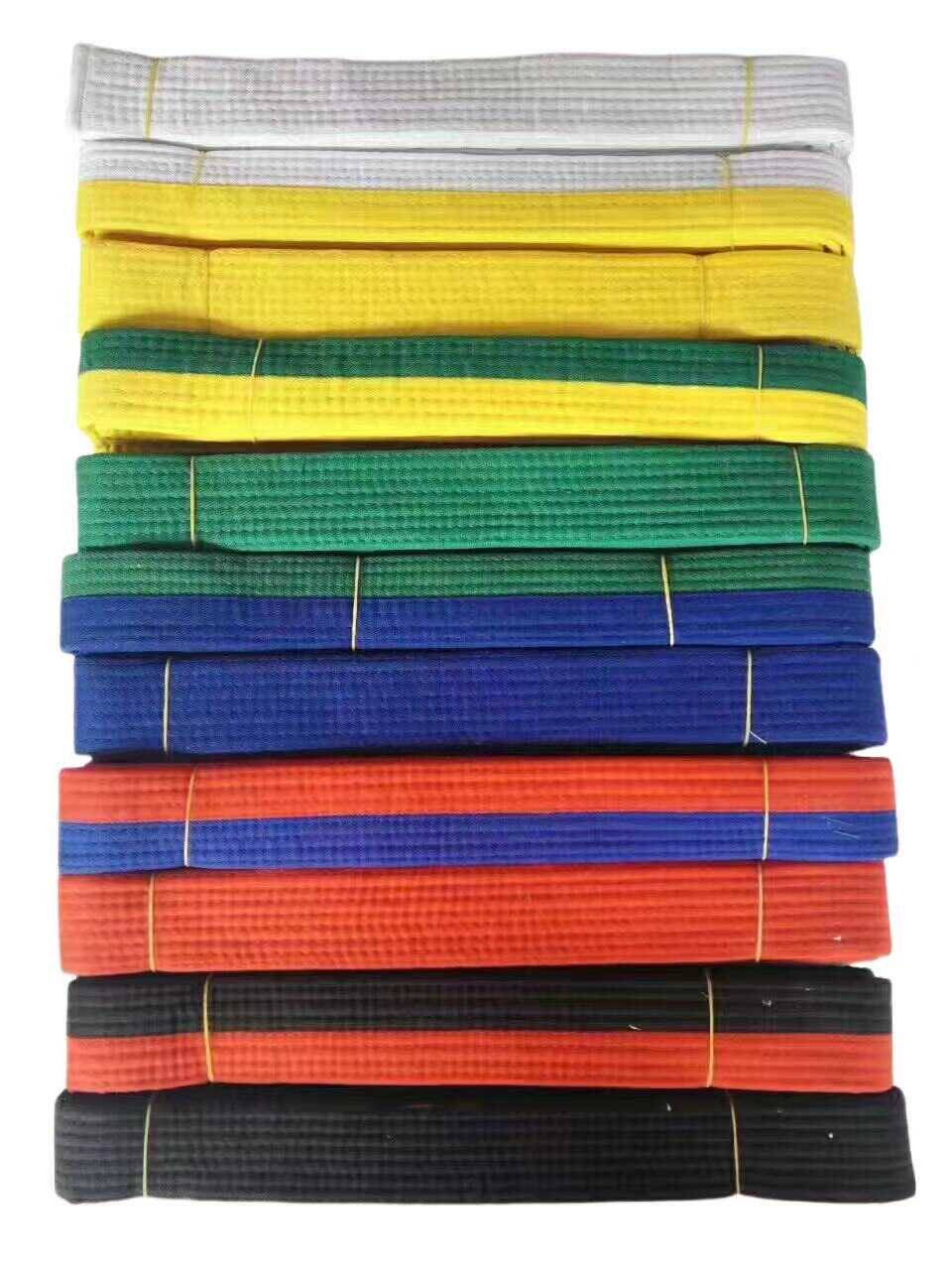 Taekwondo is training black, yellow, blue and white belt coaches for the children's promotion