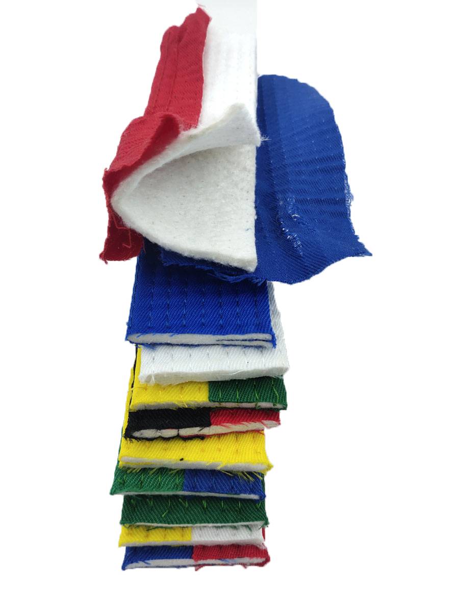 The names of the students of the China Taekwondo Association for the Embroidery of the 8th-grade Yellow Belt Examination for Children
