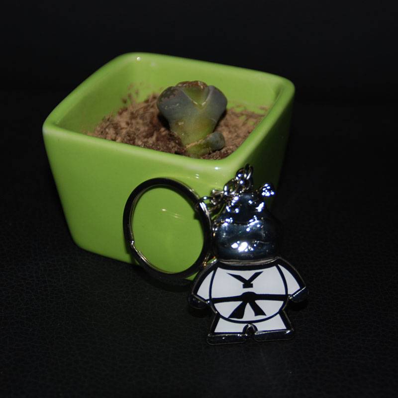 Youbon Children's Taekwondo Clothes Activities Gifts Taekwondo Taoism Key Ring Makes Buckle