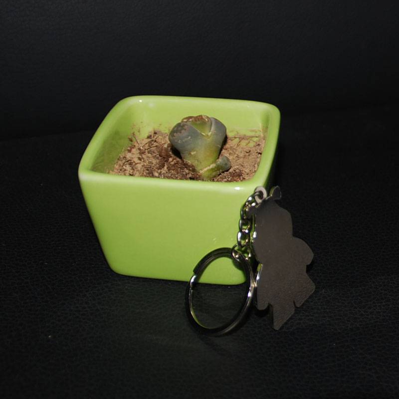 Youbon Children's Taekwondo Clothes Activities Gifts Taekwondo Taoism Key Ring Makes Buckle