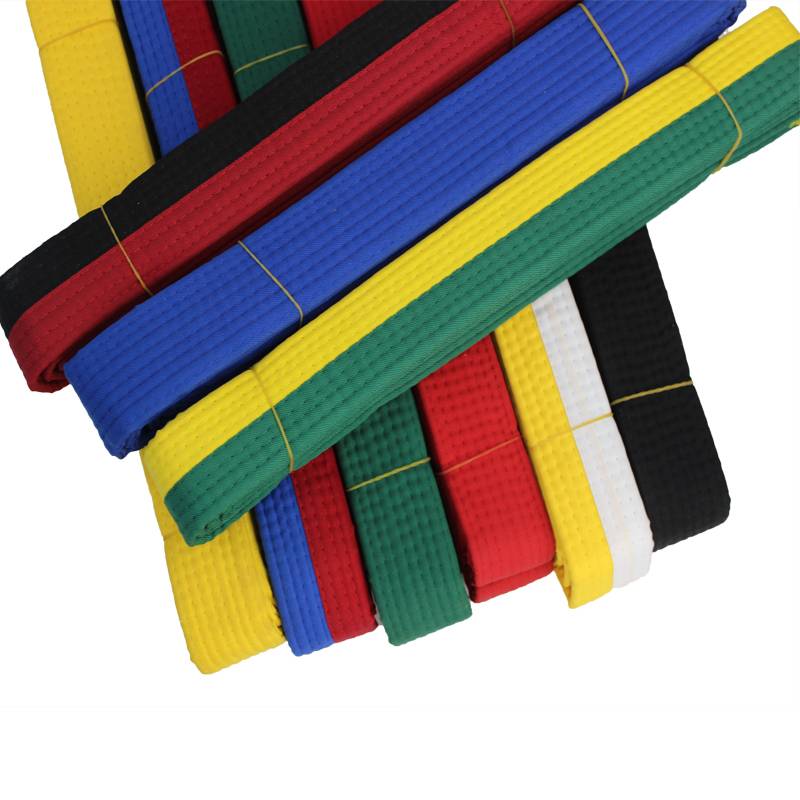 I've got a little embroidery for the black, red, yellow, blue and white belt coach for the children's promotion