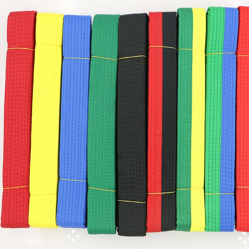 Tekwondo with a red, blue, green and black adult taekwondo belt with a 2.6-metre package