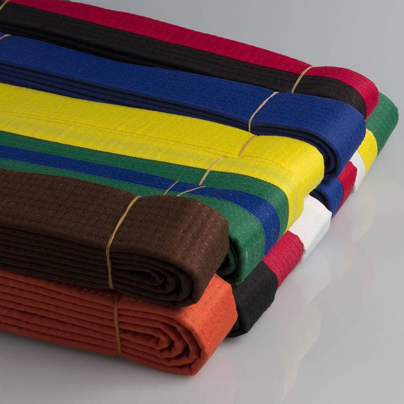 2.5 meters of Taekwondo Tao Band with Adult Children Taekwondo Test Belt Double Training Divisions Tibetan Embroidered Belt