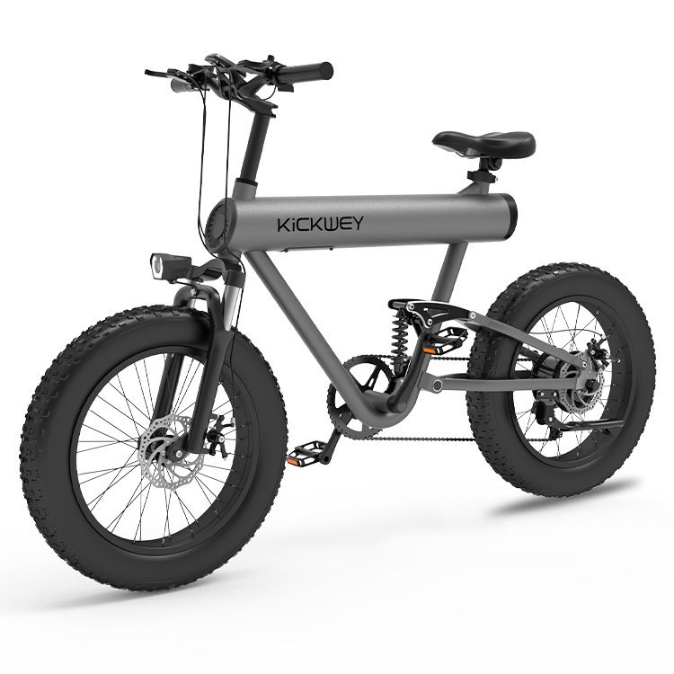 Factory Direct Electric Bike 48 Volt 1000W Power Moped E Bike 20inch Fat Tire Electric Mountain Bicycle