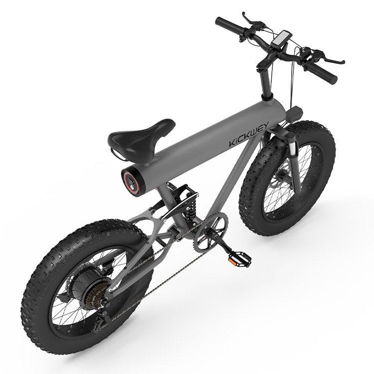 Factory Direct Electric Bike 48 Volt 1000W Power Moped E Bike 20inch Fat Tire Electric Mountain Bicycle