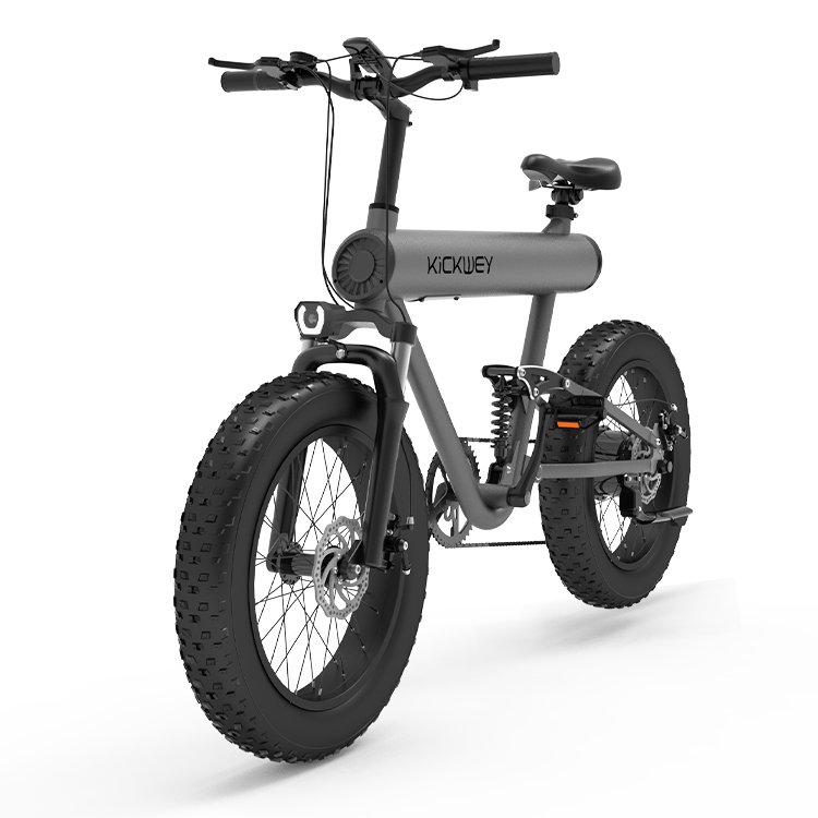Factory Direct Electric Bike 48 Volt 1000W Power Moped E Bike 20inch Fat Tire Electric Mountain Bicycle