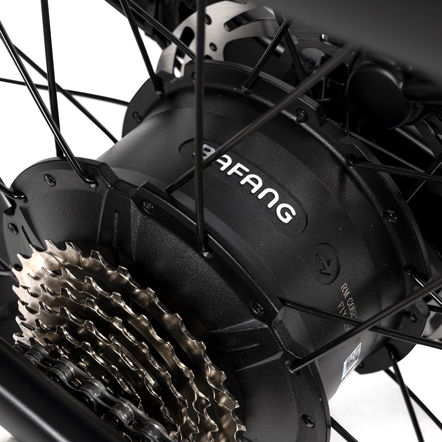Mario Ebike 250 Watt Motor Fat Tire Cargo Fat Bike Tire Electric City Bicycle