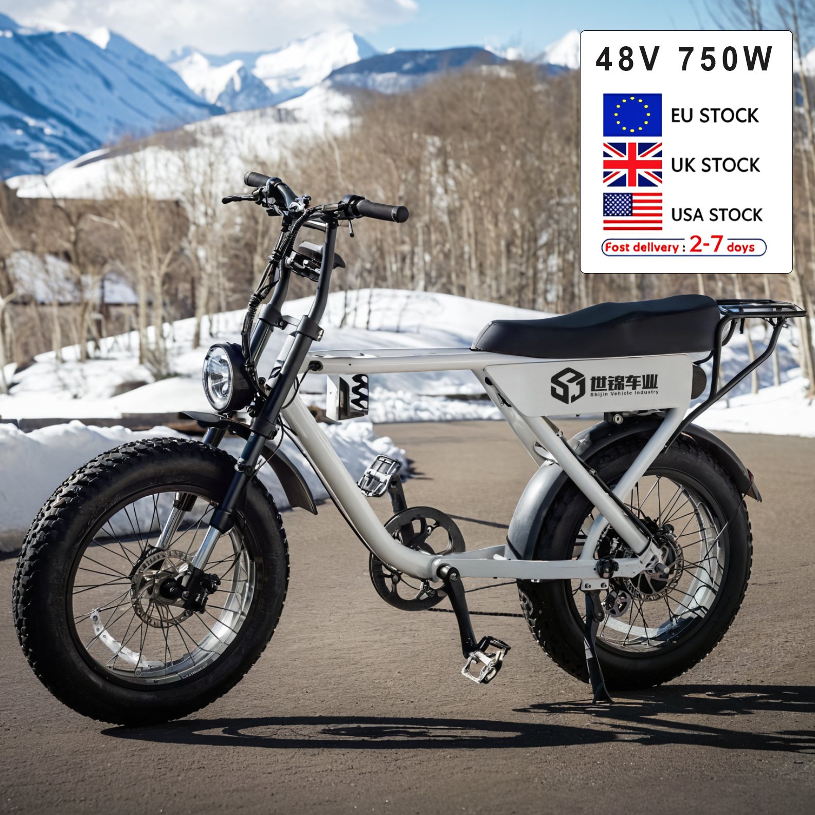 Eu Stock 48V Electric Fatbike 20Inch 750W Netherlands Fietsen Electric City Bike V20 Electric Bike 1000W Road E-Bike