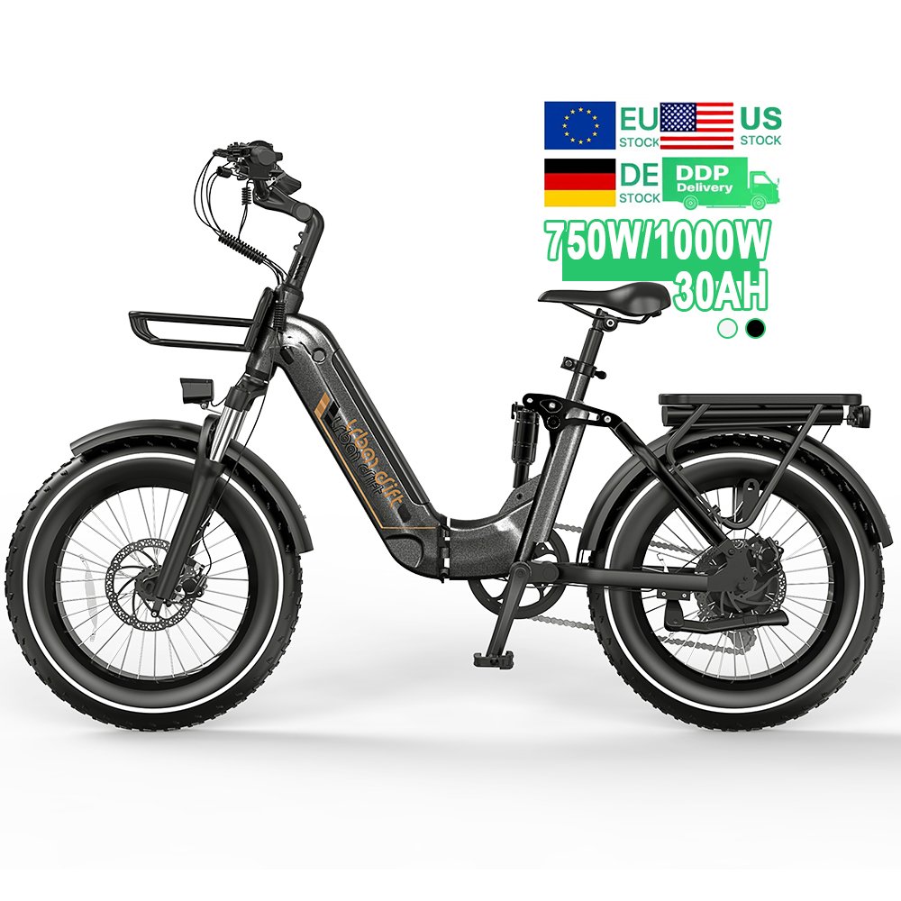 EU/US Stock Cheap Folding 1000W 48V V20 Adult Electric Hybrid Bike 750W 73 Removable Battery Mountain City Dirt Fat Tire E Bikes