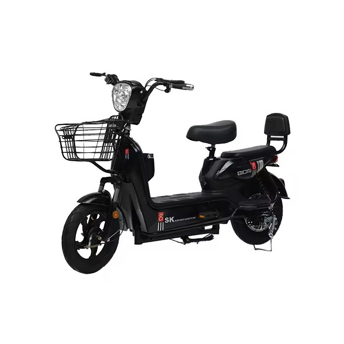 Portable Electric Bicycle Cheap new style electric bicycle for adult