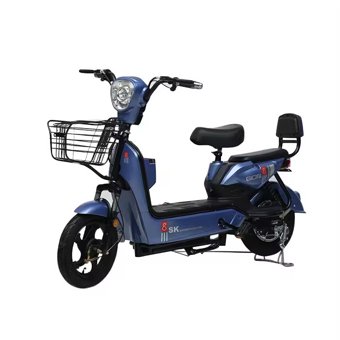 Portable Electric Bicycle Cheap new style electric bicycle for adult