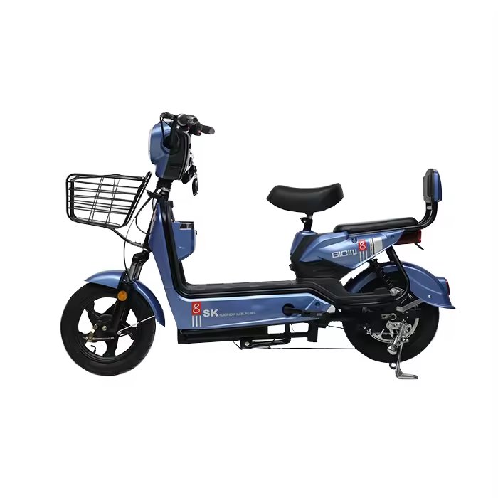 Portable Electric Bicycle Cheap new style electric bicycle for adult