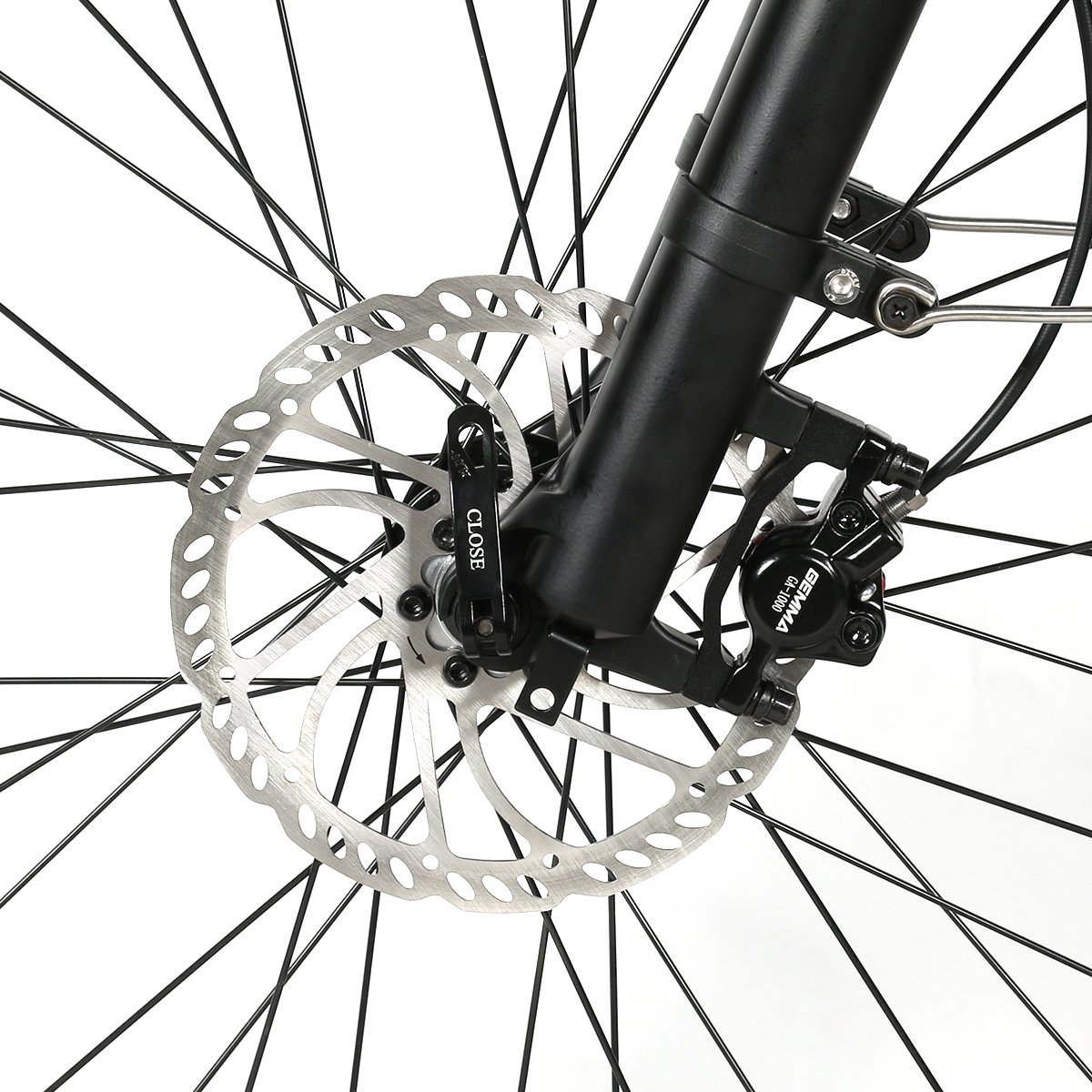 OEM item RS-A03 Lithium Battery MTB for Adult Hydraulic Disc Brake Electric Road Bike With 350w Central Motor ebike