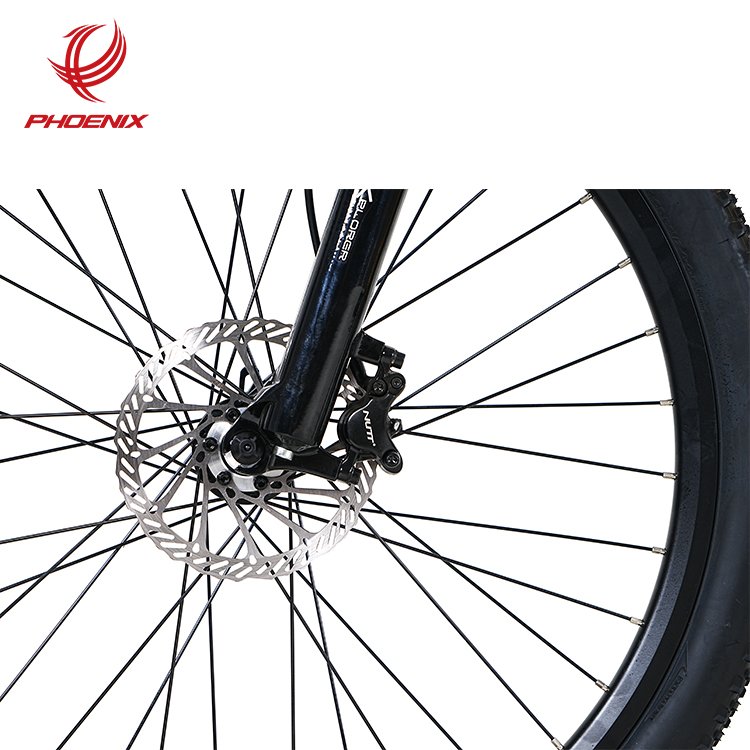 Phoenix FCCA SUPPLIER Electric Mountain Bike Electric Bicycle Full Suspension Electric Bicycle