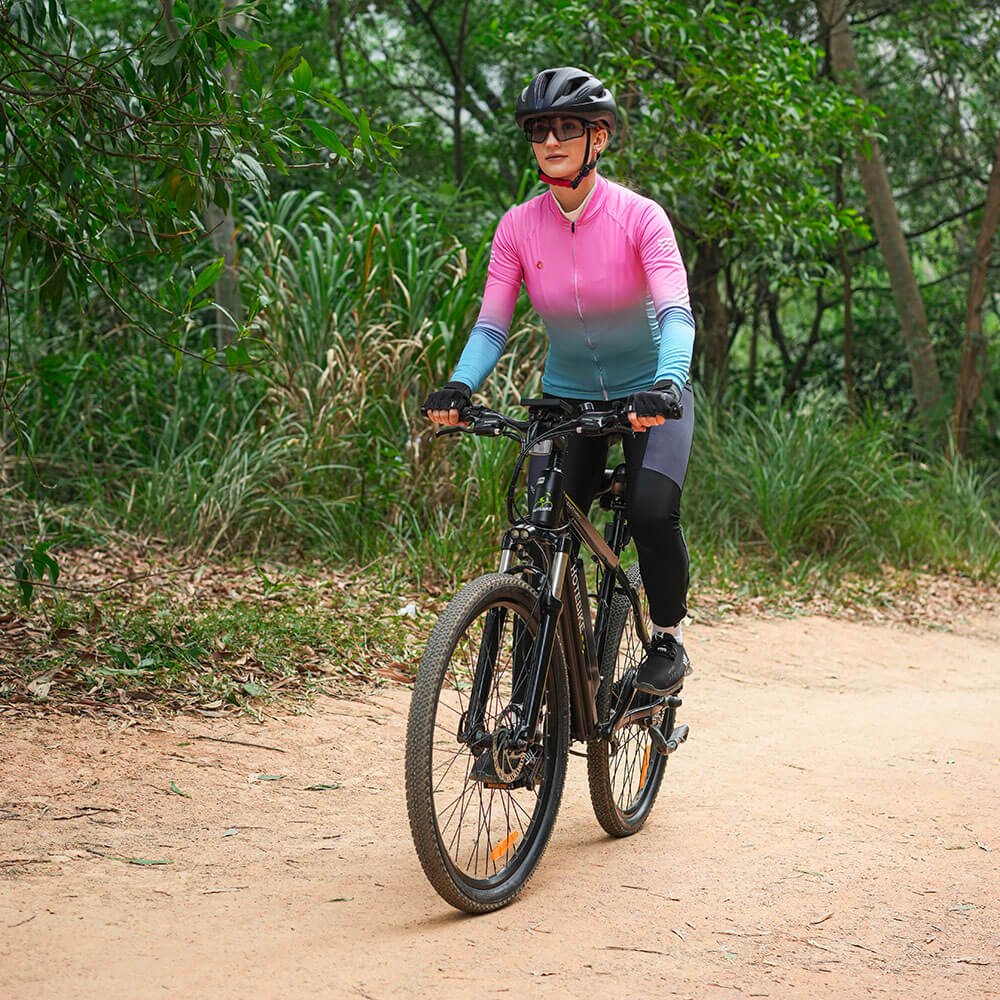 Aluminum Alloy Frame electric mountain bike upgrade full suspension ebike 500w 750w electric bicycle 27.5 29 inch electric bike