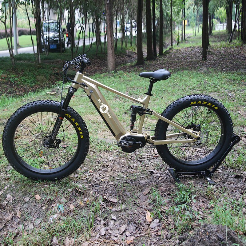 26 Inch Fat Tire Bike 1000W Dual Motor eBike Battery Hydraulic Brake Fat Tyre Electric Bike