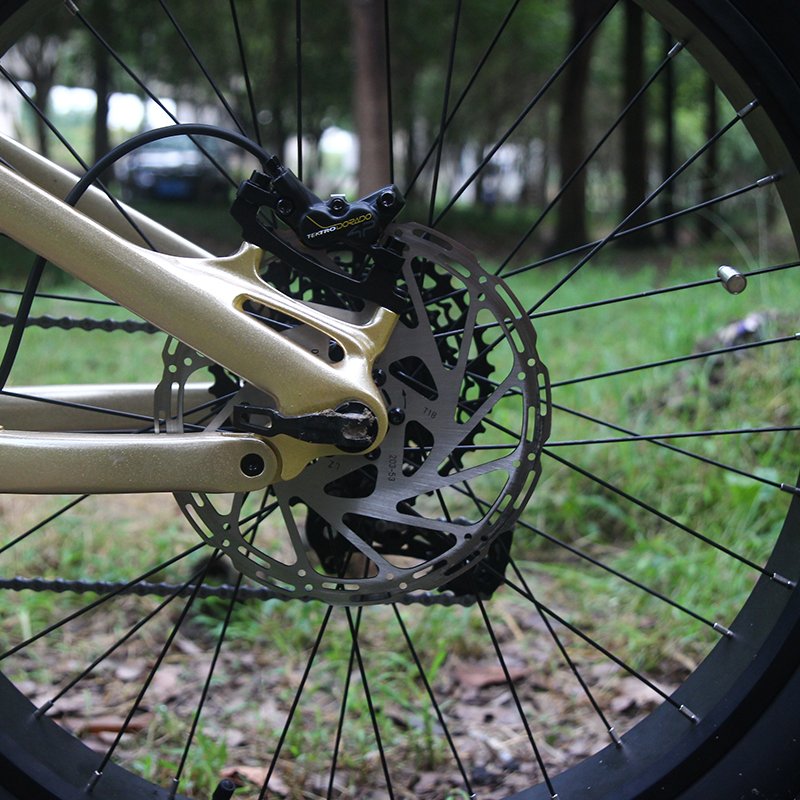 26 Inch Fat Tire Bike 1000W Dual Motor eBike Battery Hydraulic Brake Fat Tyre Electric Bike