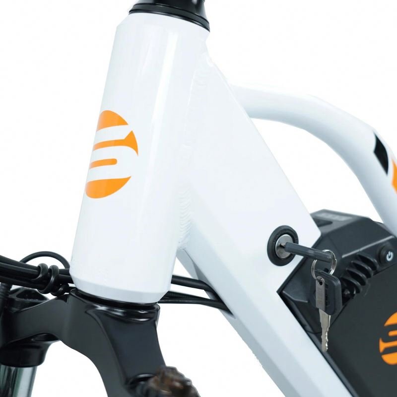 US Stock Wholesale 1000W Fat Tire Electric Hybrid Bike Fat Tire electric mountain bike