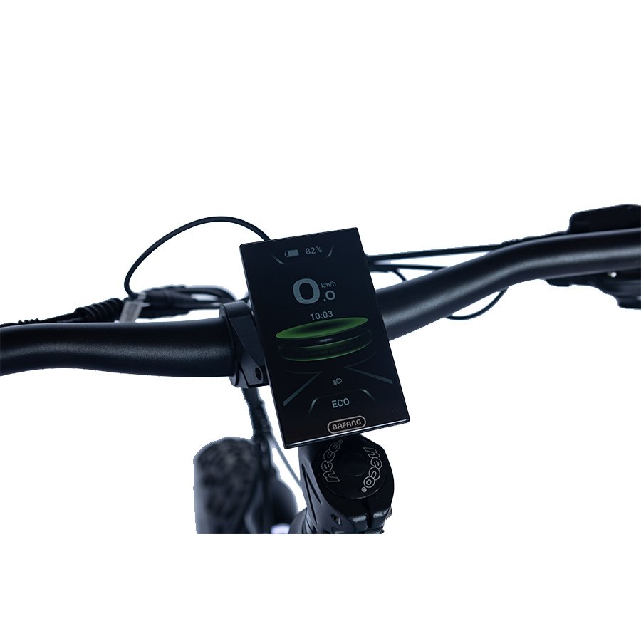 special design 48V1000W mid powerful MOTOR 9 speed Fat Tire electric mountain bike ATV