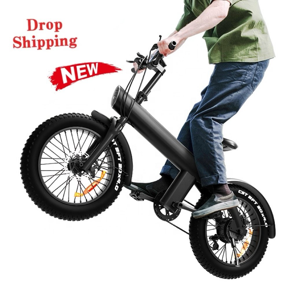 Super Urban 750W Rear Motor Drive Electric Bicycle for Adults 20 Inch Fat Wheel Dirt Bike 48v Electric City Bike