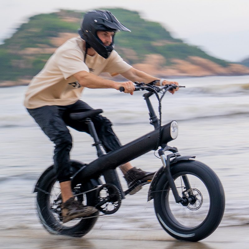Super Urban 750W Rear Motor Drive Electric Bicycle for Adults 20 Inch Fat Wheel Dirt Bike 48v Electric City Bike
