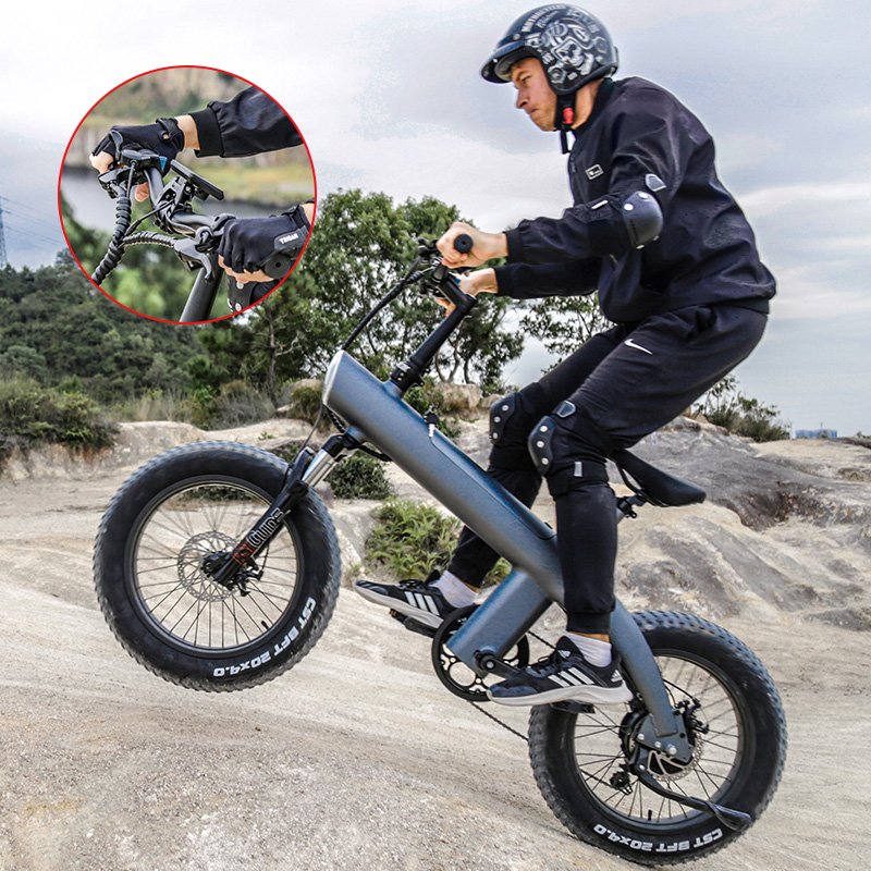 Super Urban 750W Rear Motor Drive Electric Bicycle for Adults 20 Inch Fat Wheel Dirt Bike 48v Electric City Bike