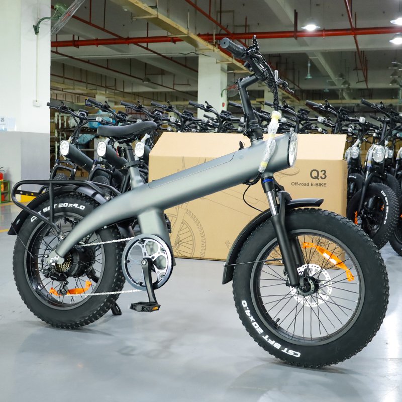 Super Urban 750W Rear Motor Drive Electric Bicycle for Adults 20 Inch Fat Wheel Dirt Bike 48v Electric City Bike