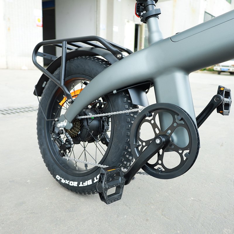 Super Urban 750W Rear Motor Drive Electric Bicycle for Adults 20 Inch Fat Wheel Dirt Bike 48v Electric City Bike