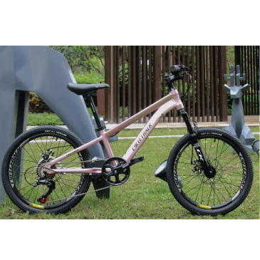 Cycletrack New CK-20 Factory Direct Sell 7 Speed MTB Aluminium Alloy Fork Mountain Bike 20 Inch Kids Children Bicycle