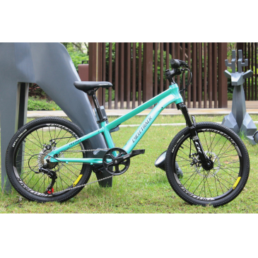 Cycletrack New CK-20 Factory Direct Sell 7 Speed MTB Aluminium Alloy Fork Mountain Bike 20 Inch Kids Children Bicycle