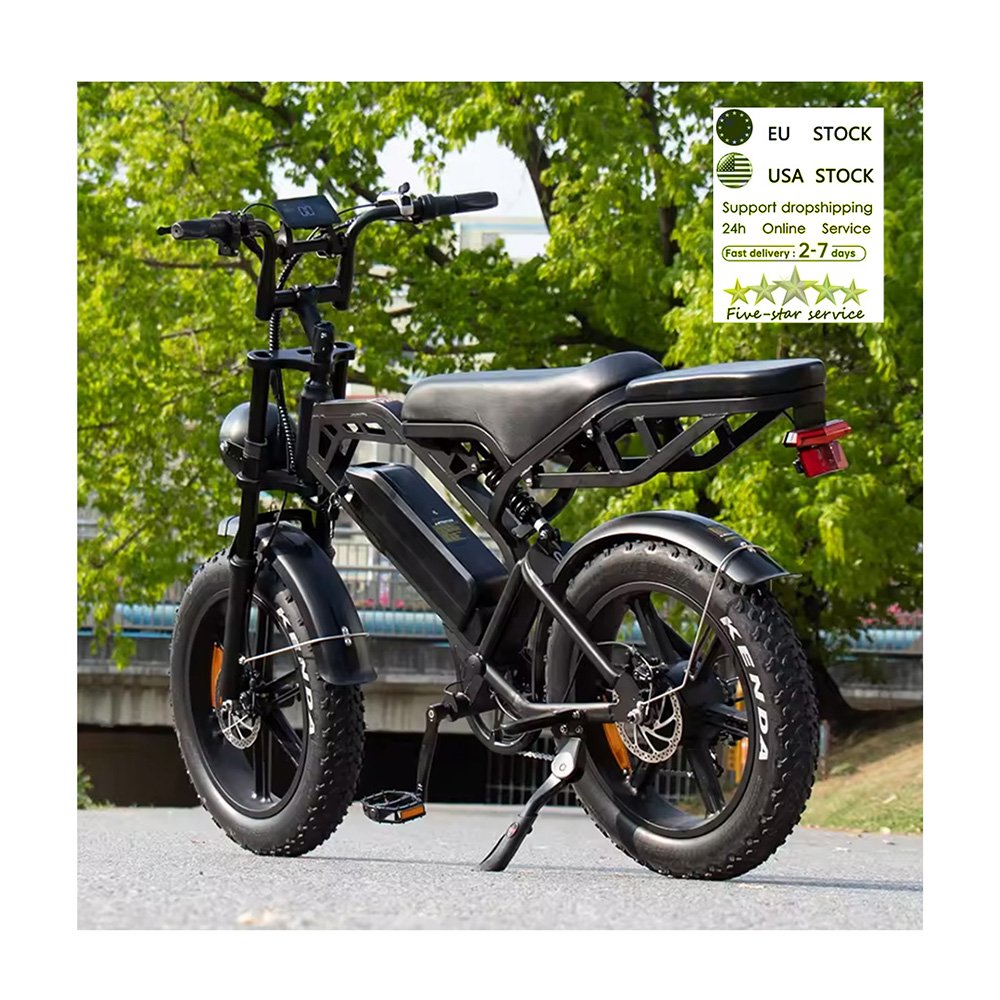 E bike EU warehouse V20 Pro fatbike 20*4 inch 2 seat electric mountain bike off road bicycle electric bicycle ebike