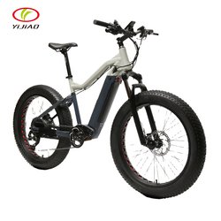 500/750/1000W