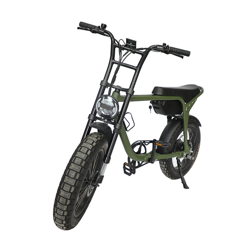 popular high end OEM ODM customize electric bike 48v super power fat tire 73 ebike retro electric hybrid city bicycle