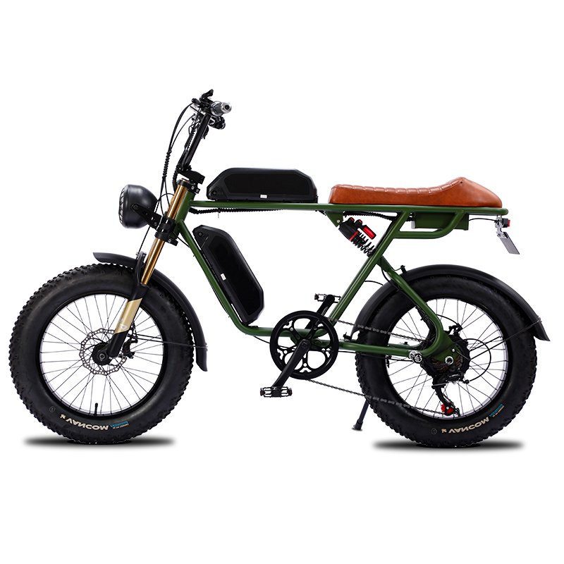 20 inch Snow Tire Electric Bicycle 7 Speed 500W/750W/1500W 48V Dual Battery Fat Tire Electric Mountain Bike